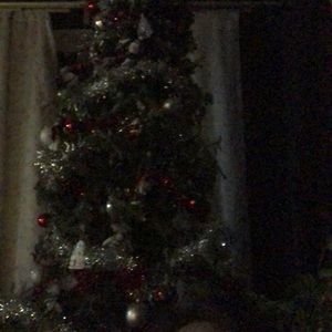 Meet your Posher, Annie